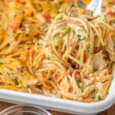 chicken spaghetti in a baking dish