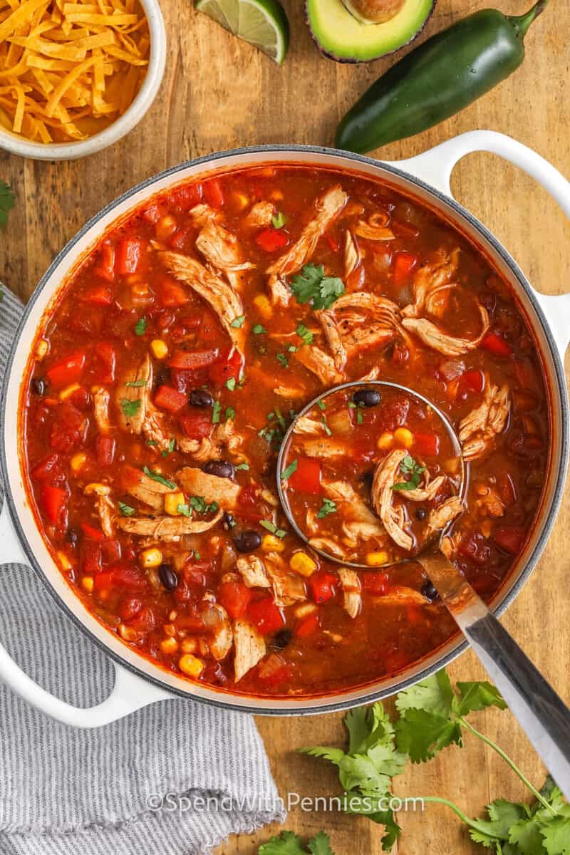 chicken enchilada soup in a pot with a ladle