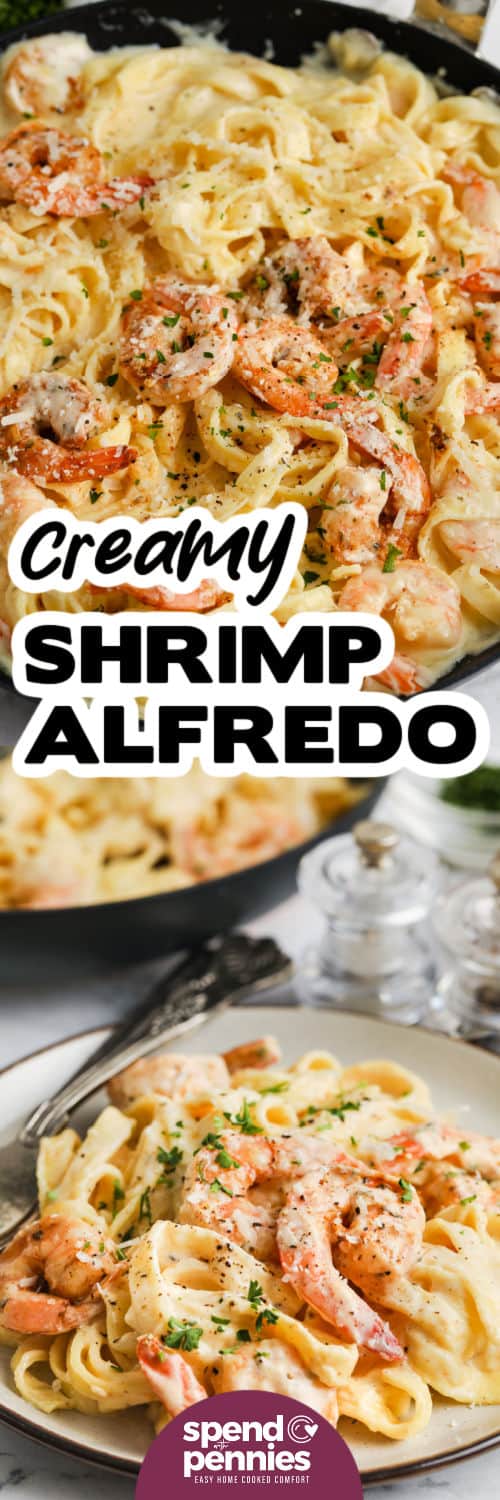 Shrimp Alfredo in the pan and plated with a title