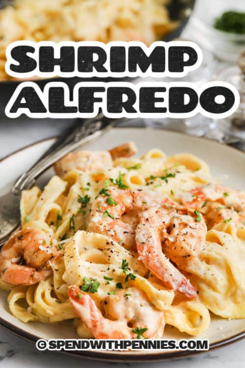 plate of Shrimp Alfredo with a title