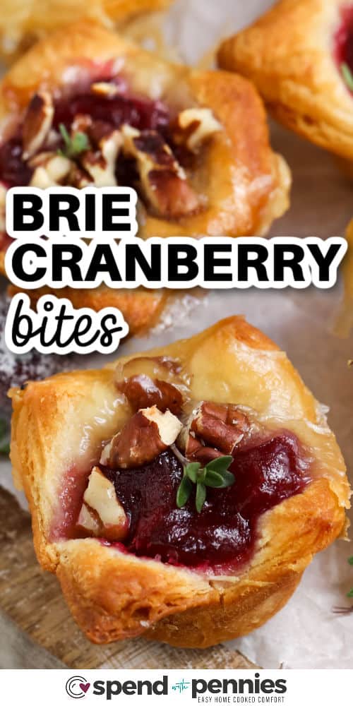 close up of Cranberry Brie Bites with a title