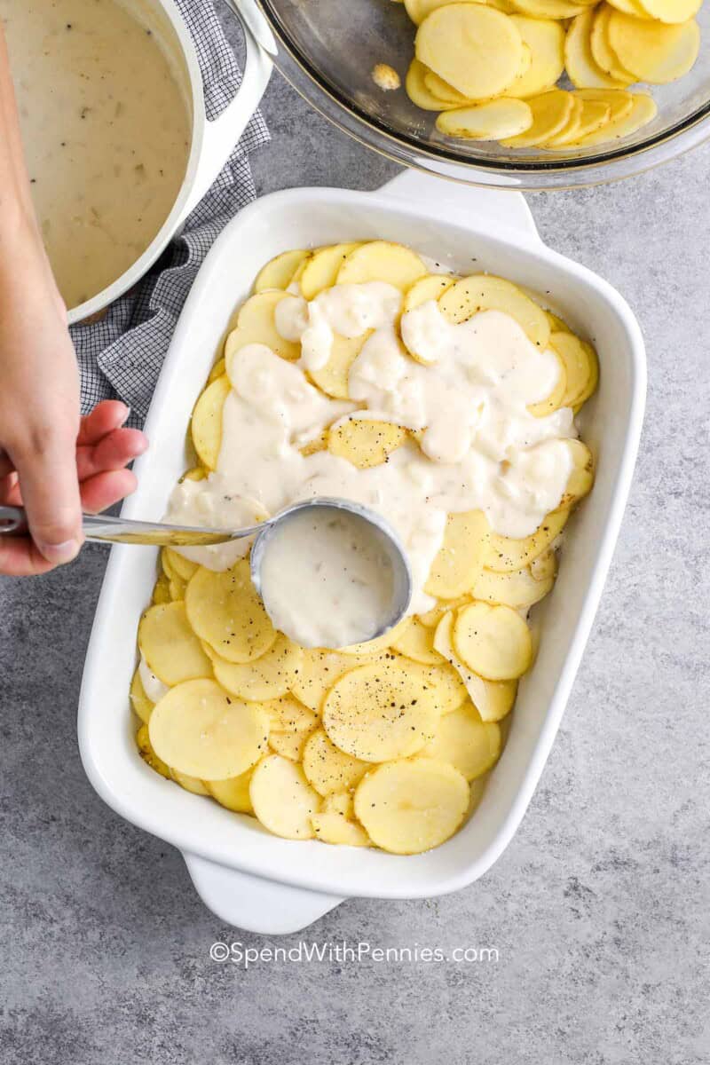 A ladle pouring scalloped potatoes sauce over thinly sliced potatoes