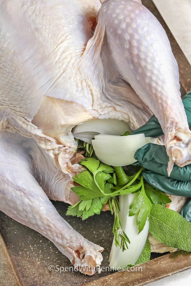 stuffing Thanksgiving Turkey with vegetables and herbs