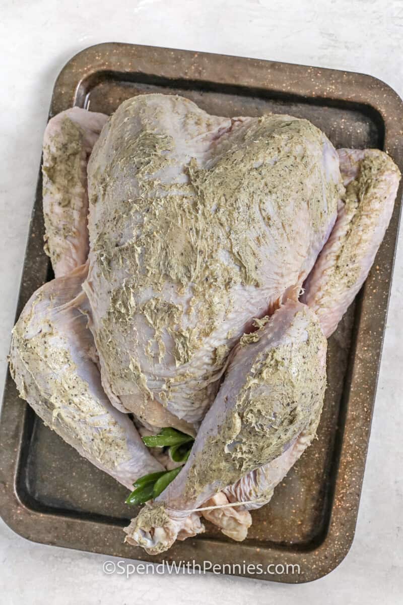 adding herbed garlic to turkey to make a Thanksgiving Turkey