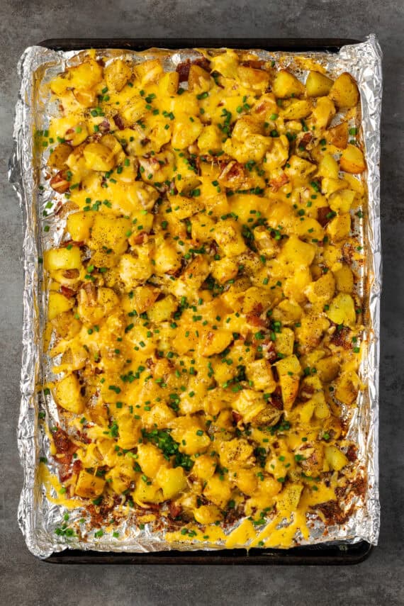 Cheesy ranch potatoes on a baking sheet after melting the cheese.